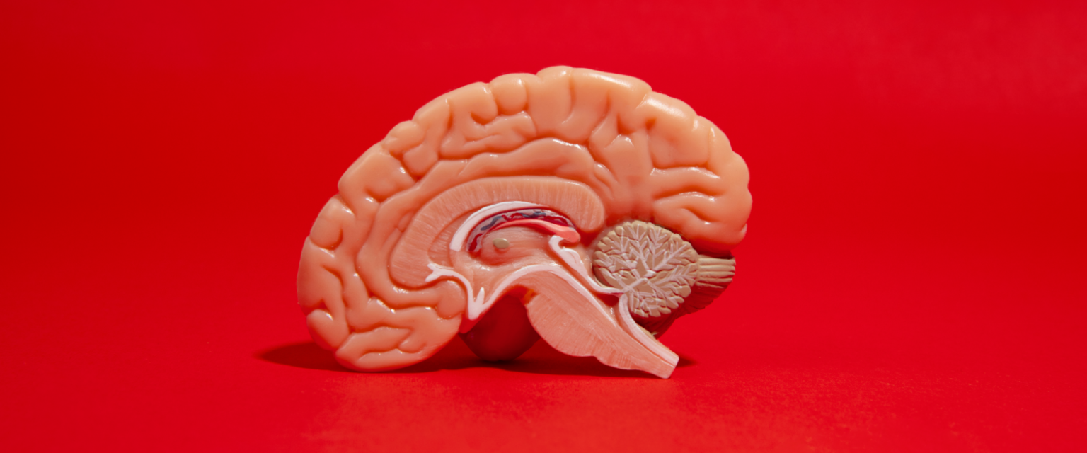 Neurology
